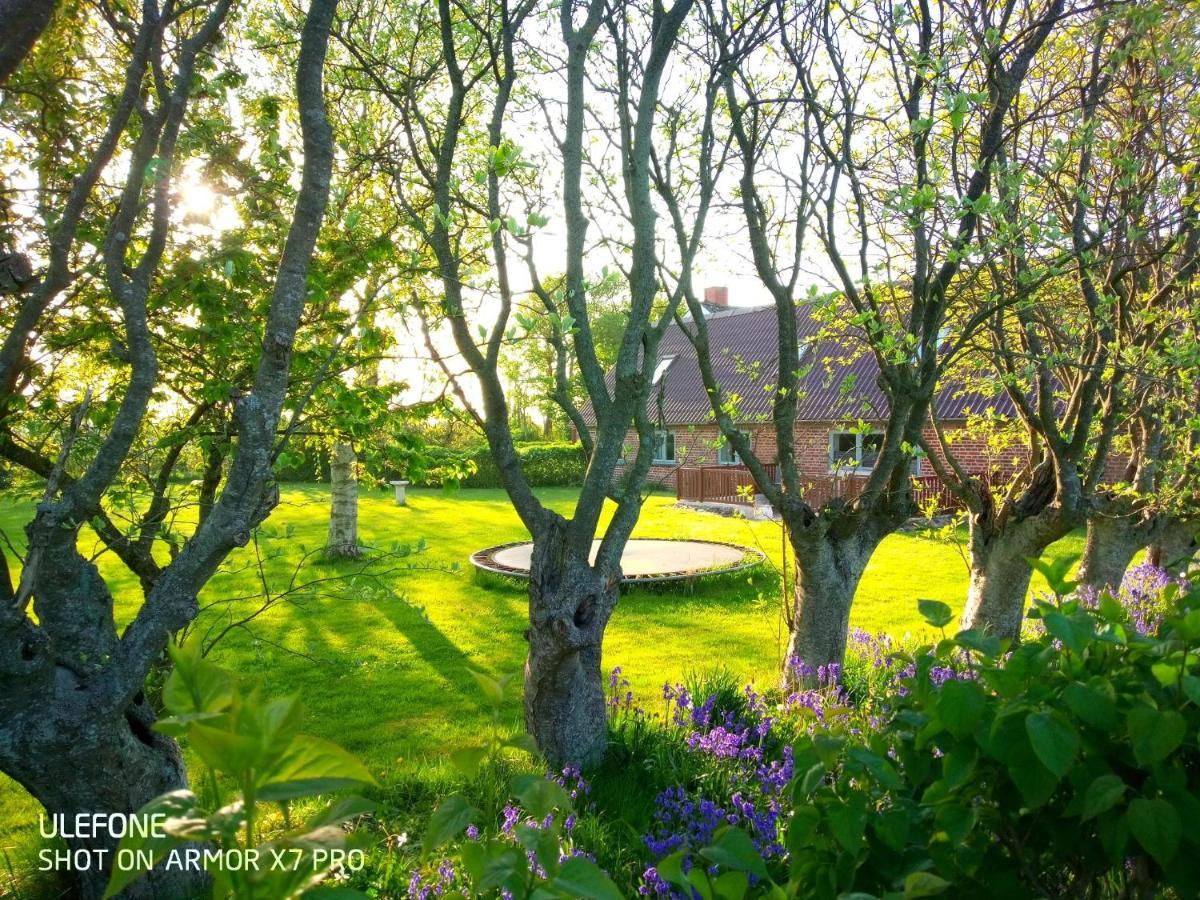 Lilleledgaard Country House Ringkøbing Extérieur photo