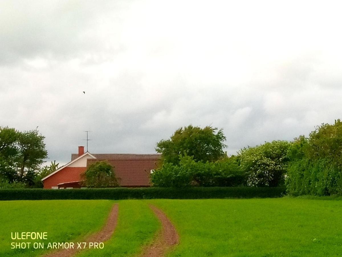 Lilleledgaard Country House Ringkøbing Extérieur photo